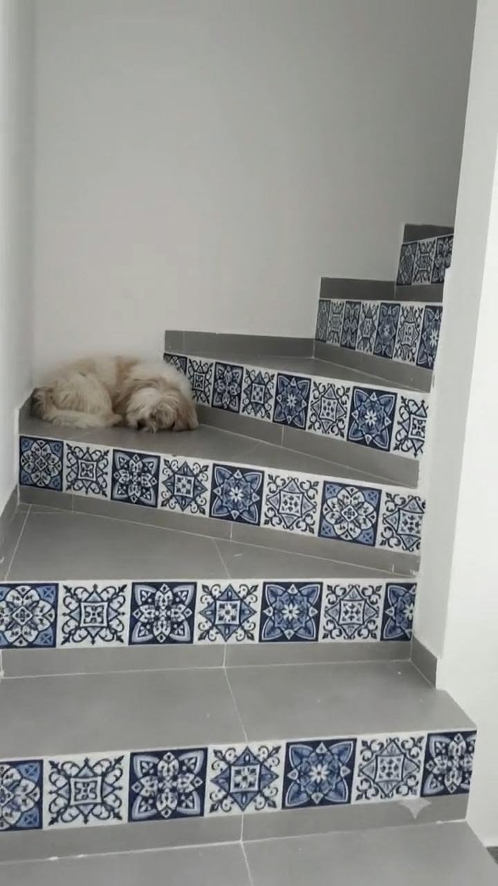 Anti-skid tile staircase work by Surya Prakash Tile & Stone Works in Eluru